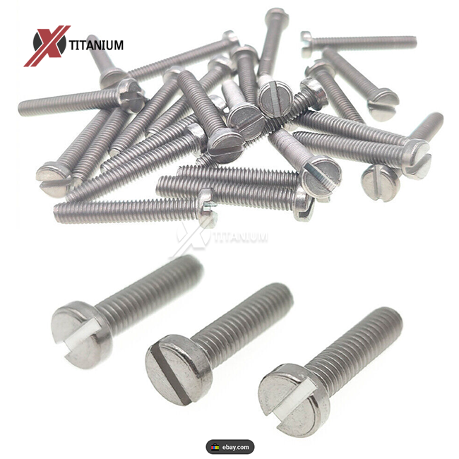 DIN85 Titanium Slotted Pan Head Screws